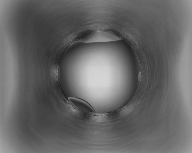 X0000113530288200909250912