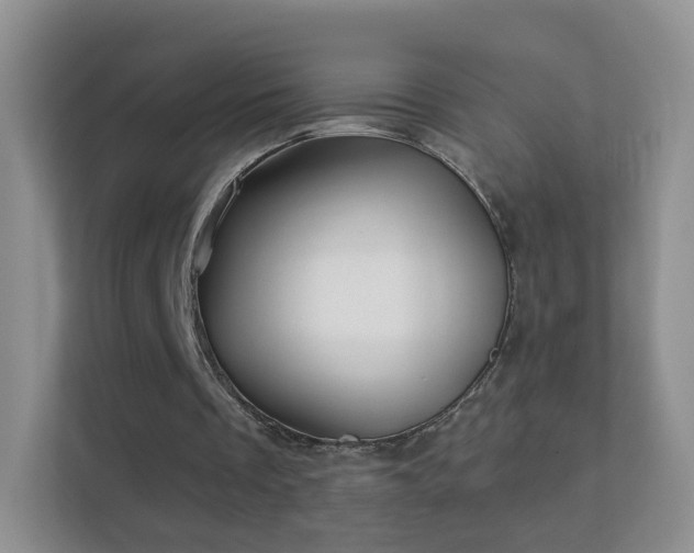 X0000113530289200909250911