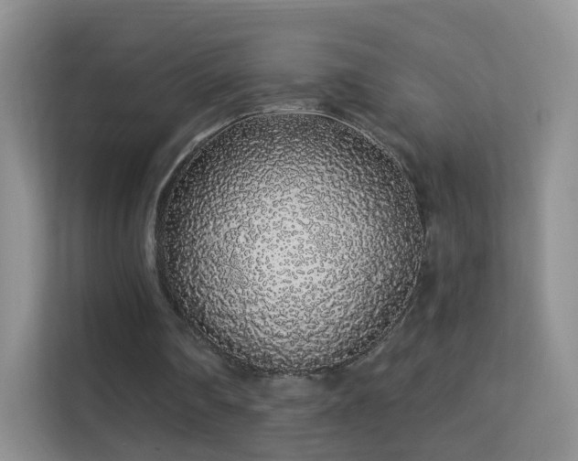 X0000113530290200909250911