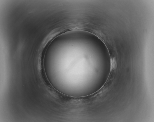 X0000113530291200909250911