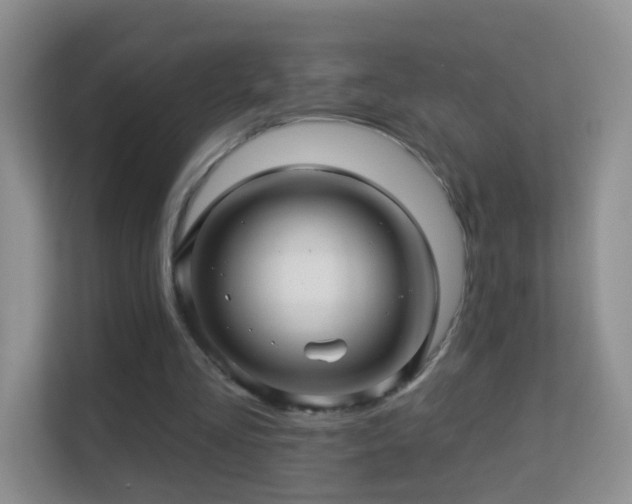 X0000113530293200909250911