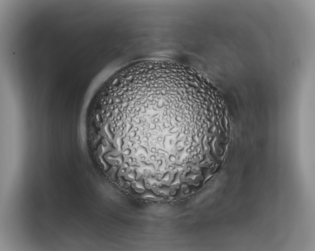 X0000113530294200909250911