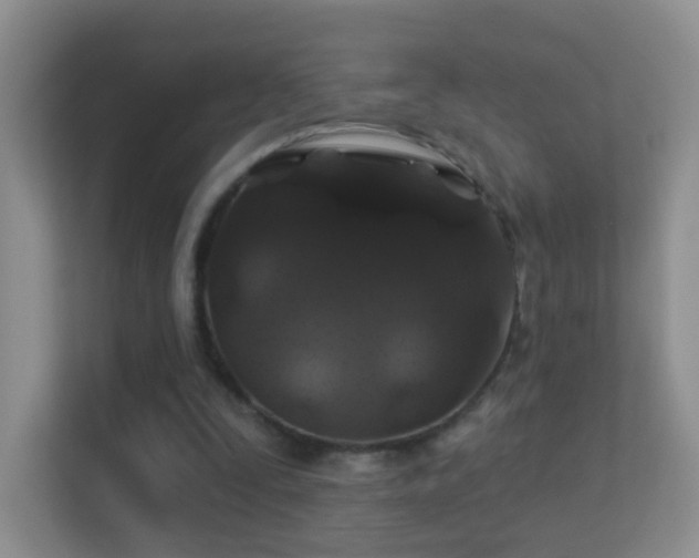 X0000113530295200909250911