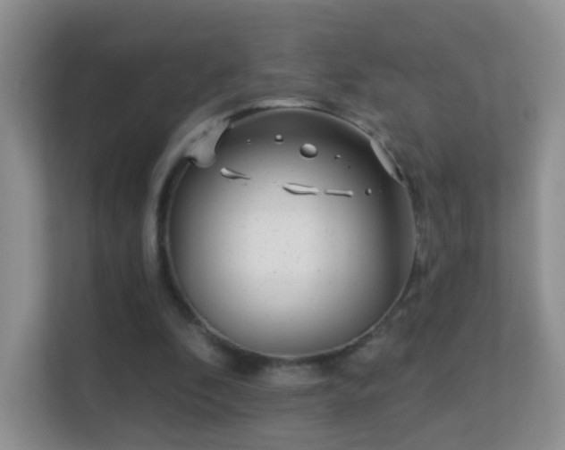 X0000113530296200909250911