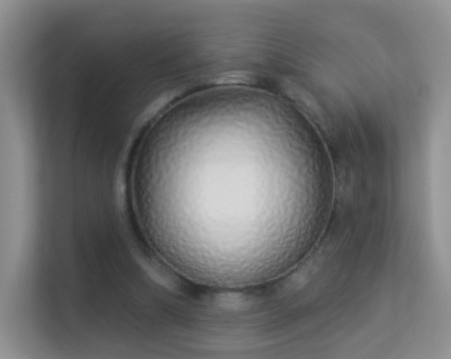 X0000113530298200909250911