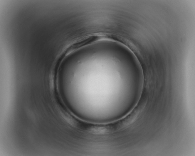 X0000113530299200909250911