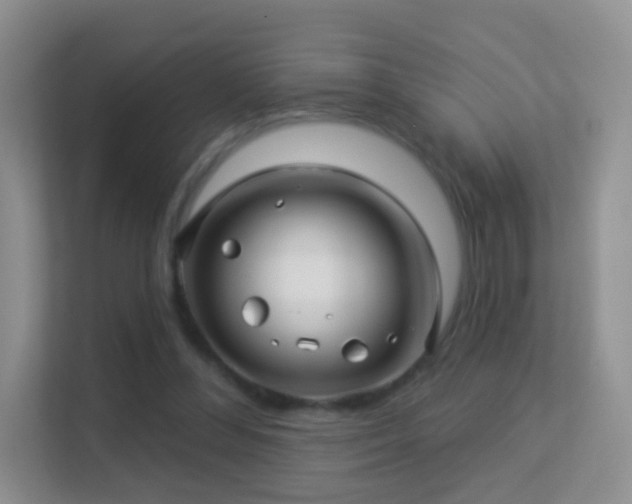 X0000113530300200909250911