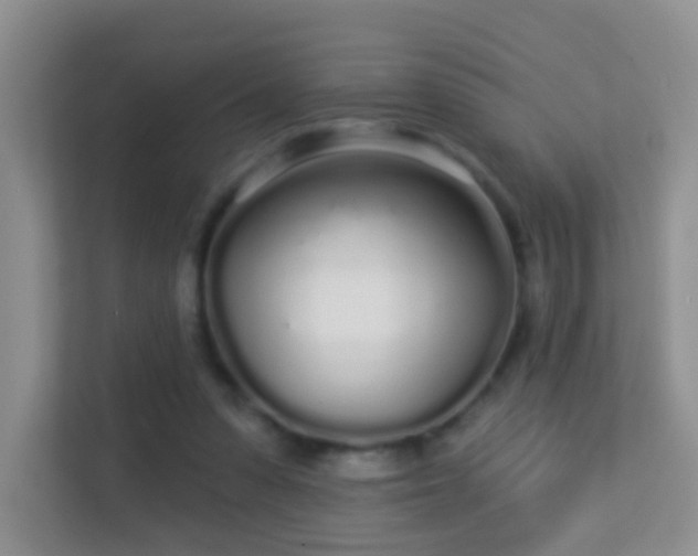 X0000113530303200909250911