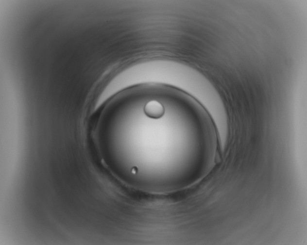 X0000113530304200909250911