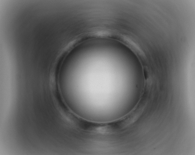 X0000113530306200909250911