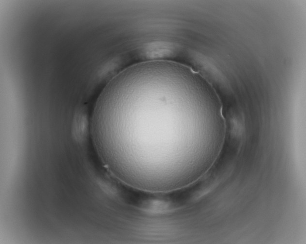 X0000113530308200909250911