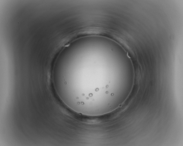 X0000113530309200909250911