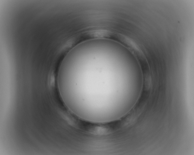 X0000113530310200909250911