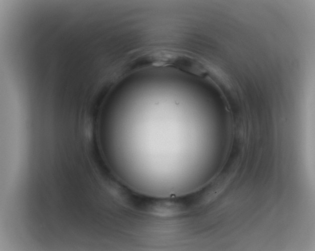 X0000113530315200909250911