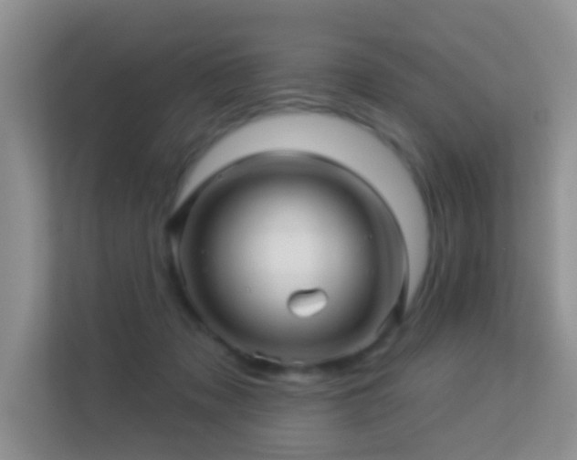 X0000113530317200909250911