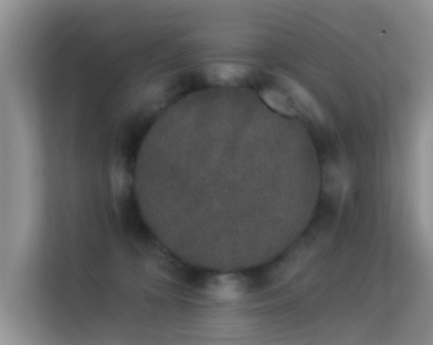 X0000113530324200909250911