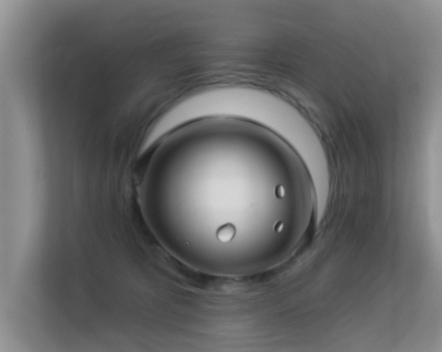 X0000113530325200909250911