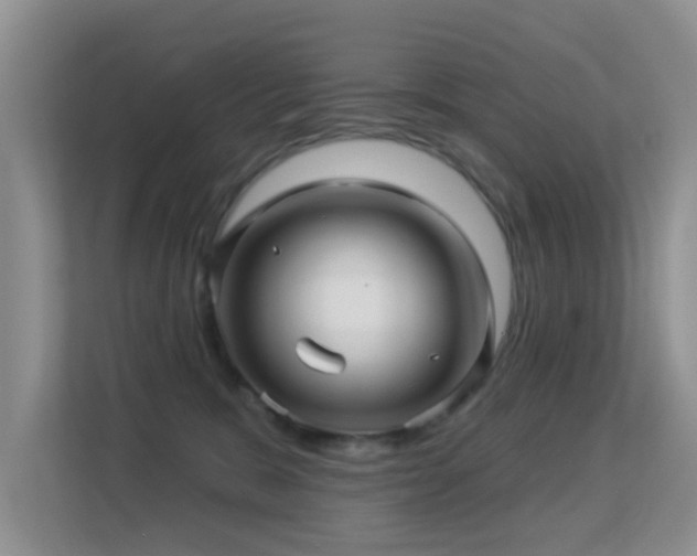 X0000113530327200909250911