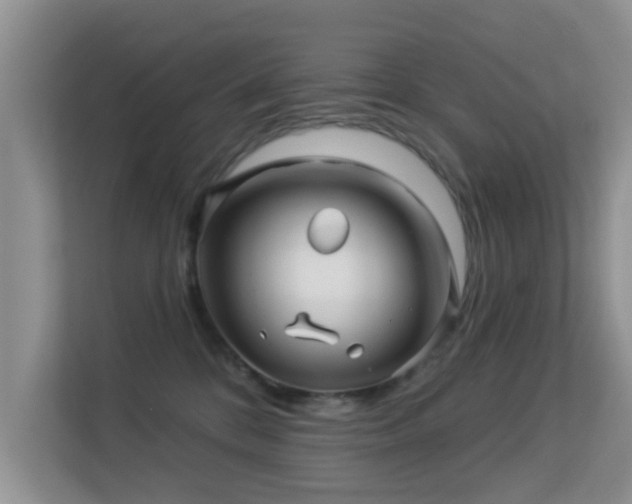 X0000113530328200909250911