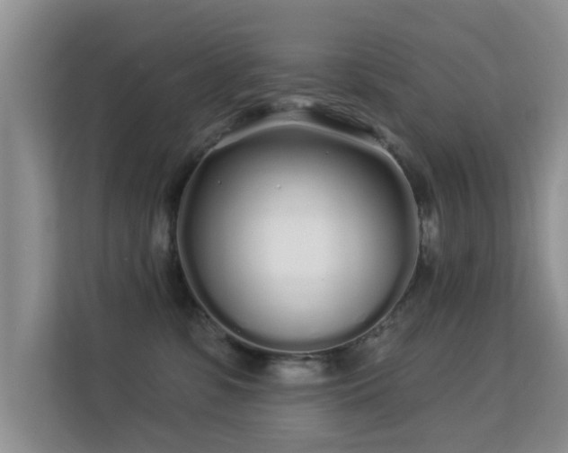 X0000113530331200909250911