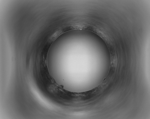 X0000113530334200909250911