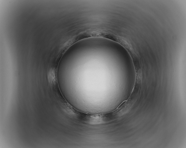 X0000113530335200909250911