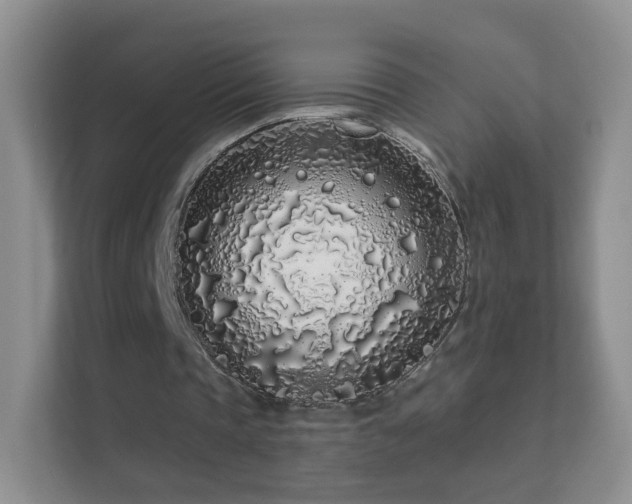 X0000113530337200909250910