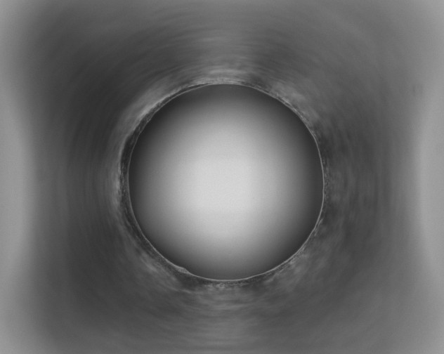 X0000113530338200909250910