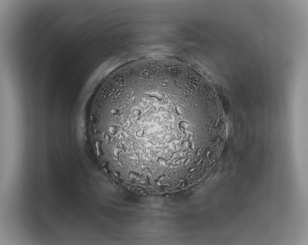 X0000113530339200909250910