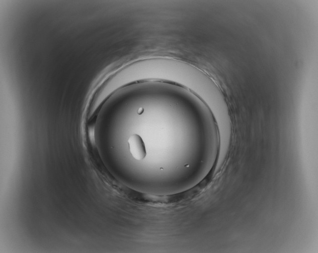 X0000113530340200909250910