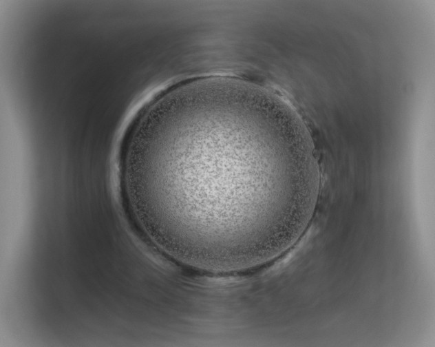 X0000113530342200909250910