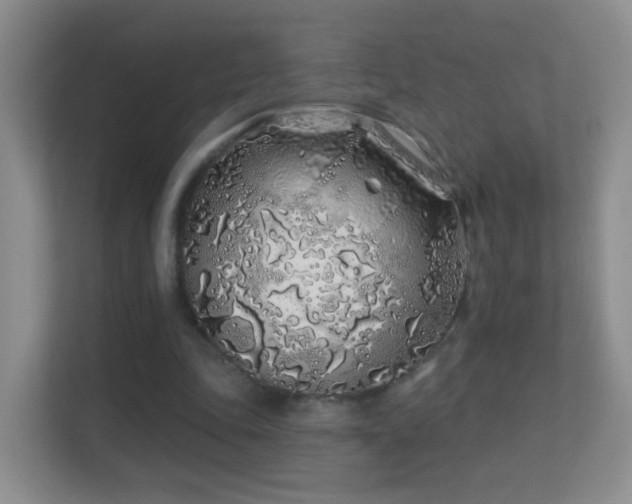 X0000113530343200909250910