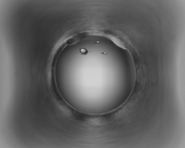 X0000113530344200909250910