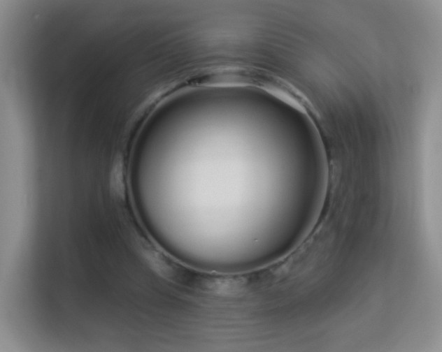 X0000113530345200909250910