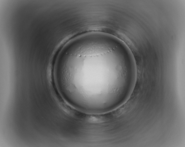 X0000113530346200909250910