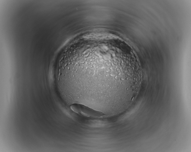 X0000113530347200909250910