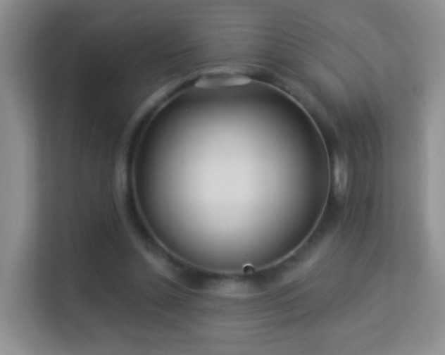 X0000113530348200909250910