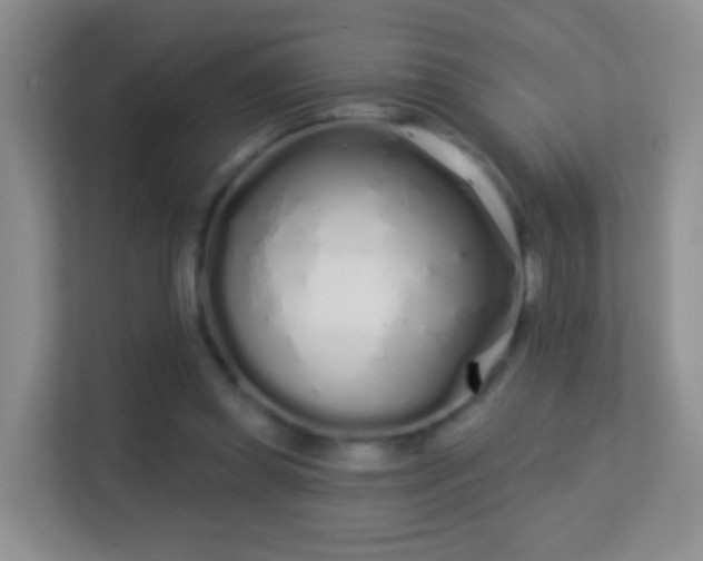 X0000113530349200909250910