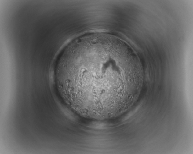 X0000113530351200909250910