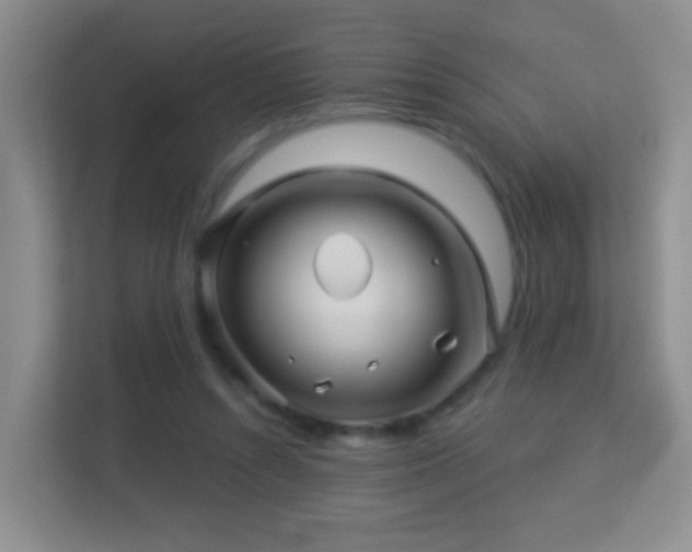 X0000113530352200909250910