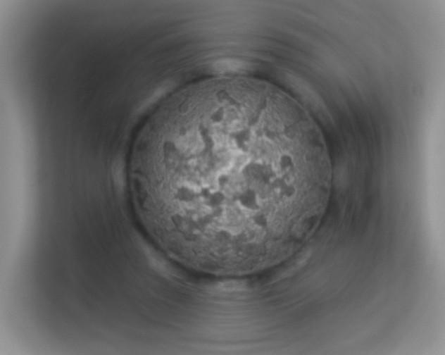 X0000113530353200909250910