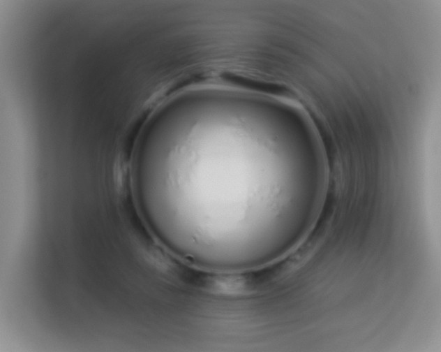 X0000113530355200909250910