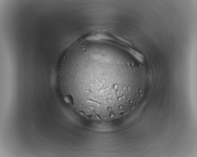 X0000113530359200909250910