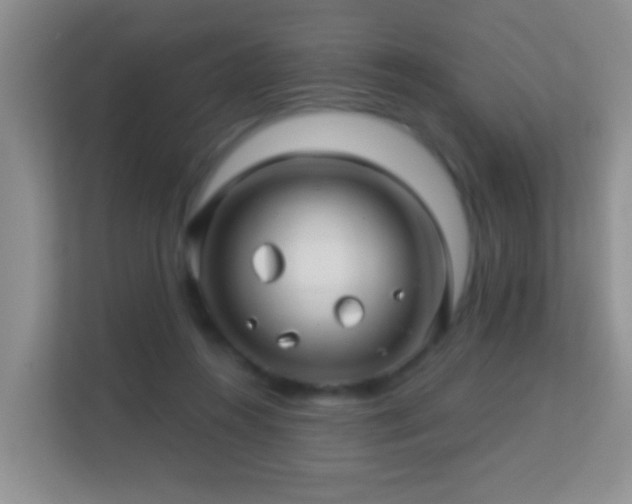 X0000113530360200909250910