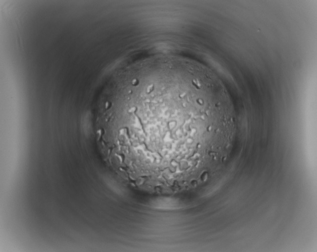 X0000113530361200909250910