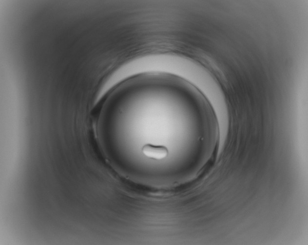 X0000113530362200909250910