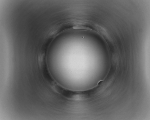 X0000113530364200909250910