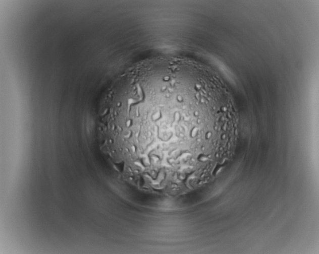 X0000113530365200909250910