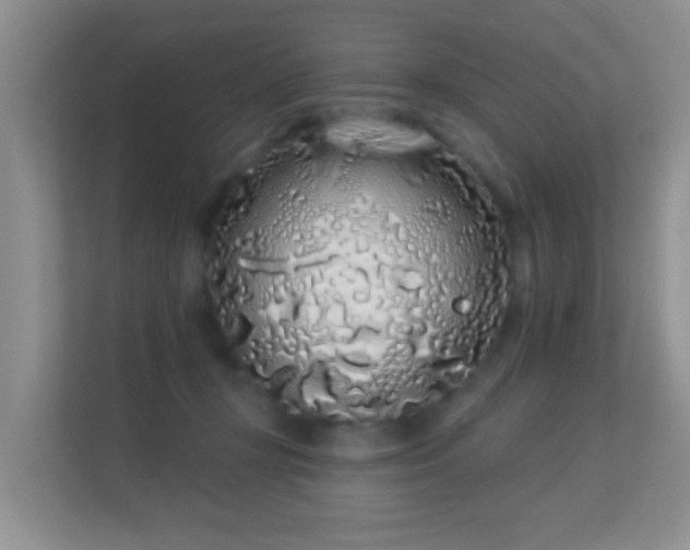 X0000113530367200909250910