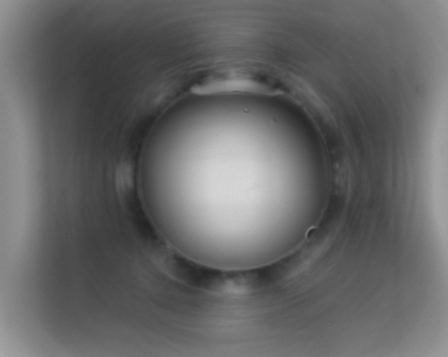 X0000113530368200909250910